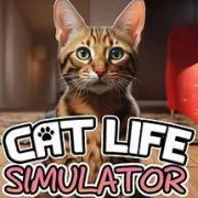 Cat Life Simulator