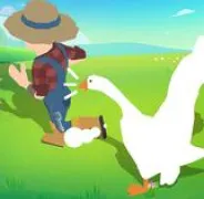 Crazy Goose Simulator
