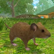 Forest Mouse 