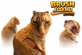 Brush Jjaemu